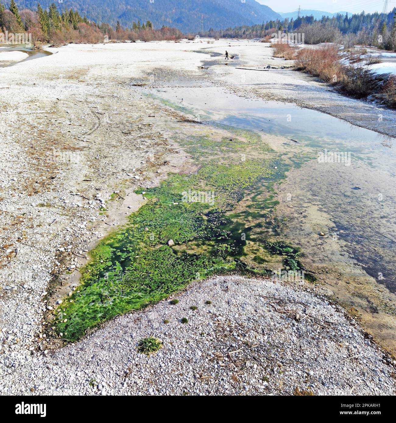 Algae formation in the low water area between gravel banks of the Isar river Stock Photo