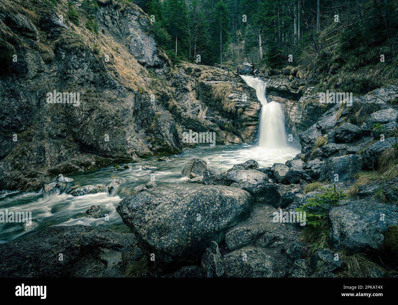 Cow escape waterfall near Garmisch-Partenkirchen Stock Photo - Alamy