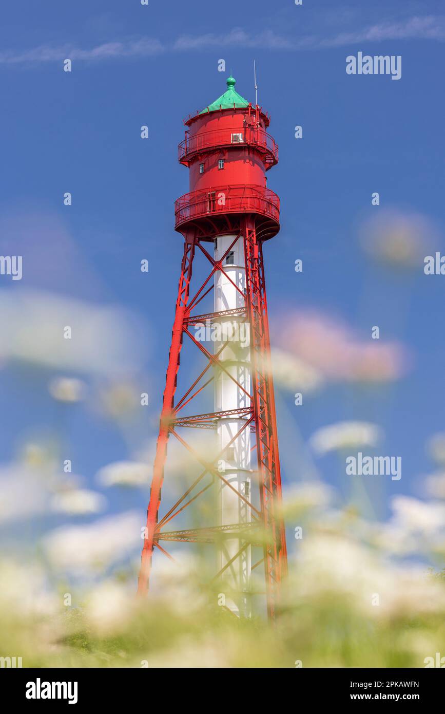 Campen lighthouse, flower meadow on dike, blur, Campen, Krummhörn, East Frisia, Lower Saxony, Germany Stock Photo