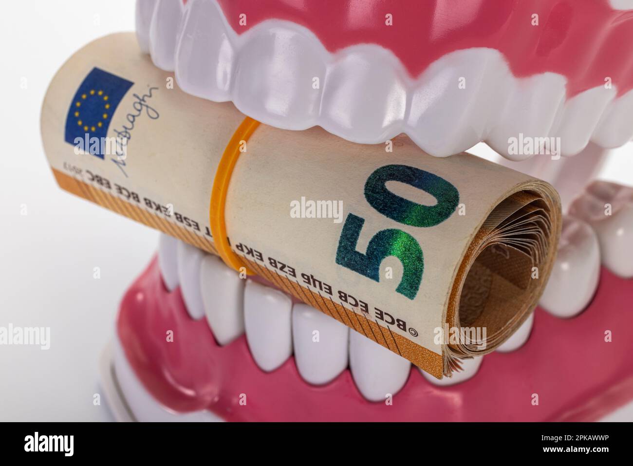 Dental care model opened, 50 euro banknotes rolled up held together