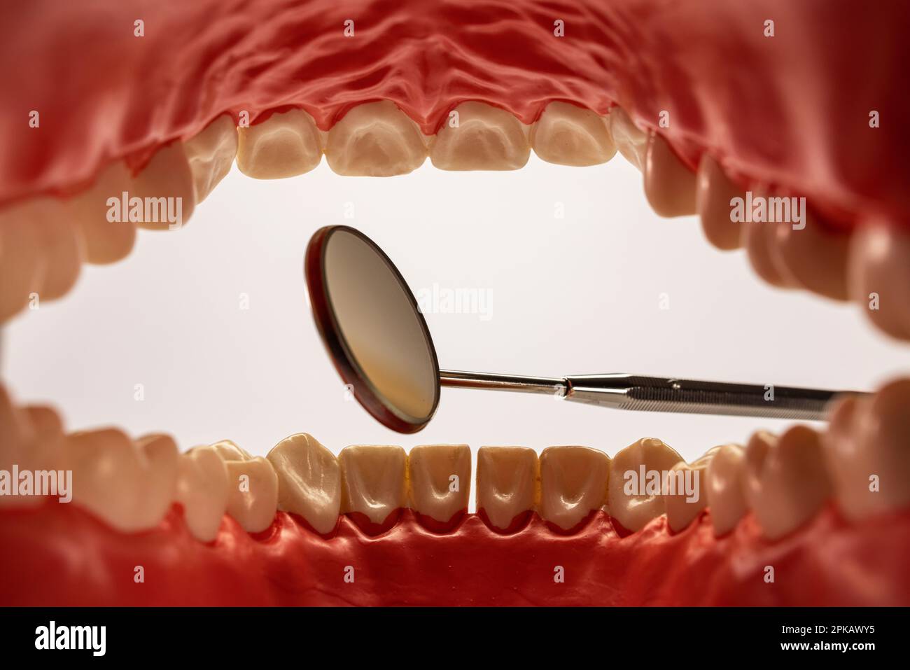 Dental care model open, oral cavity, mouth mirror, detail, symbol image
