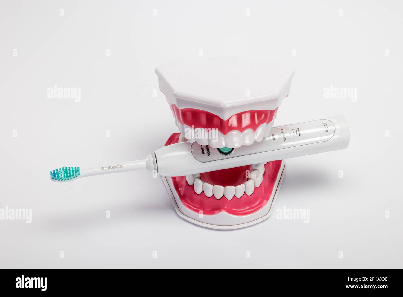 Dental care model open, electric toothbrush, by Philips Sonicare, sonic toothbrush, icon image