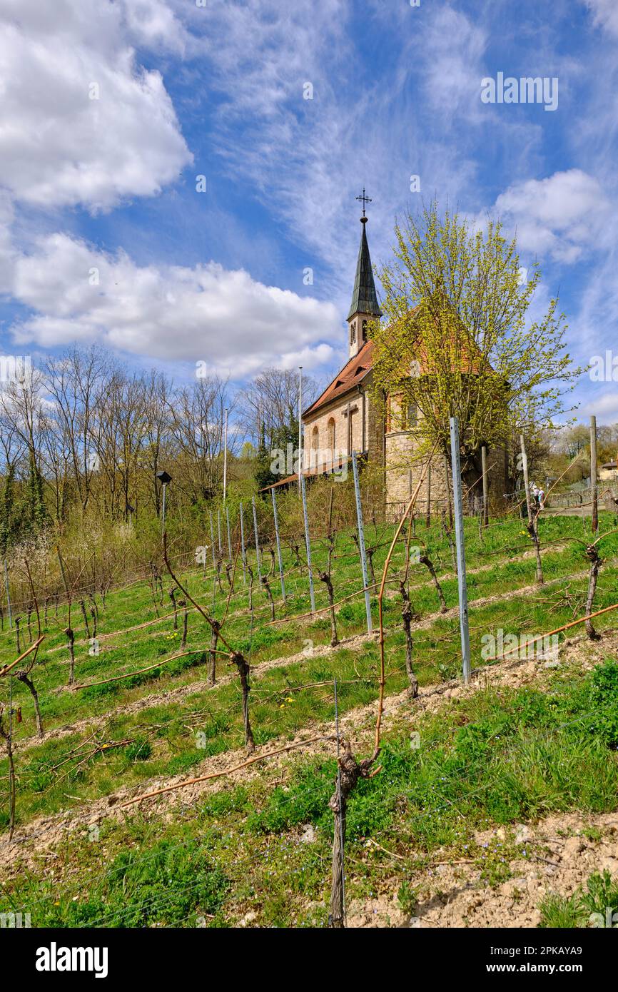 Mariamerz Chapel in the winegrowing village of Randersacker am Main near Würzburg, Würzburg County, Lower Franconia, Bavaria, Germany Stock Photo