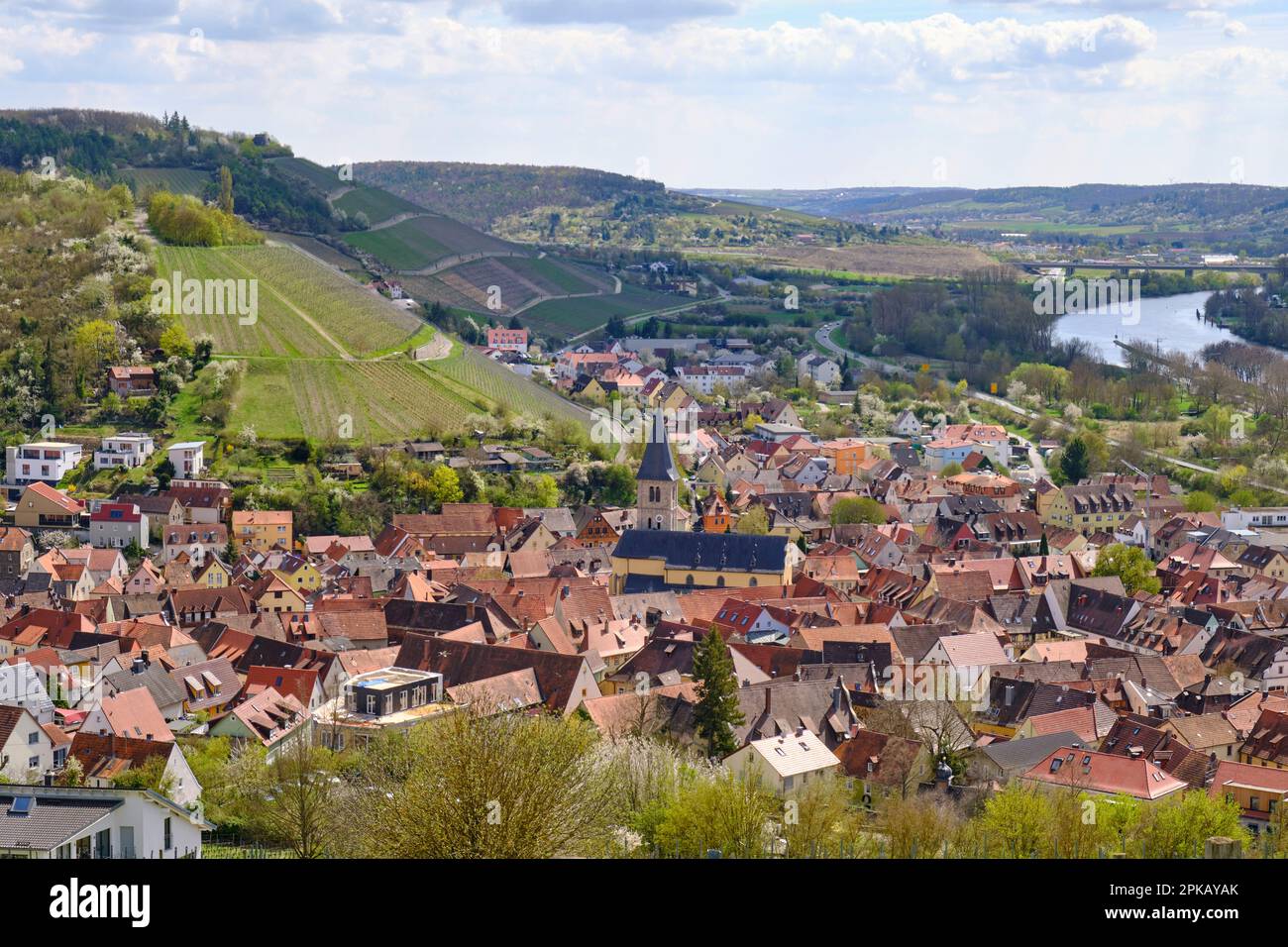 View from the vineyards to the winegrowing village Randersacker at the river Main near Würzburg, county Würzburg, Lower Franconia, Bavaria, Germany Stock Photo