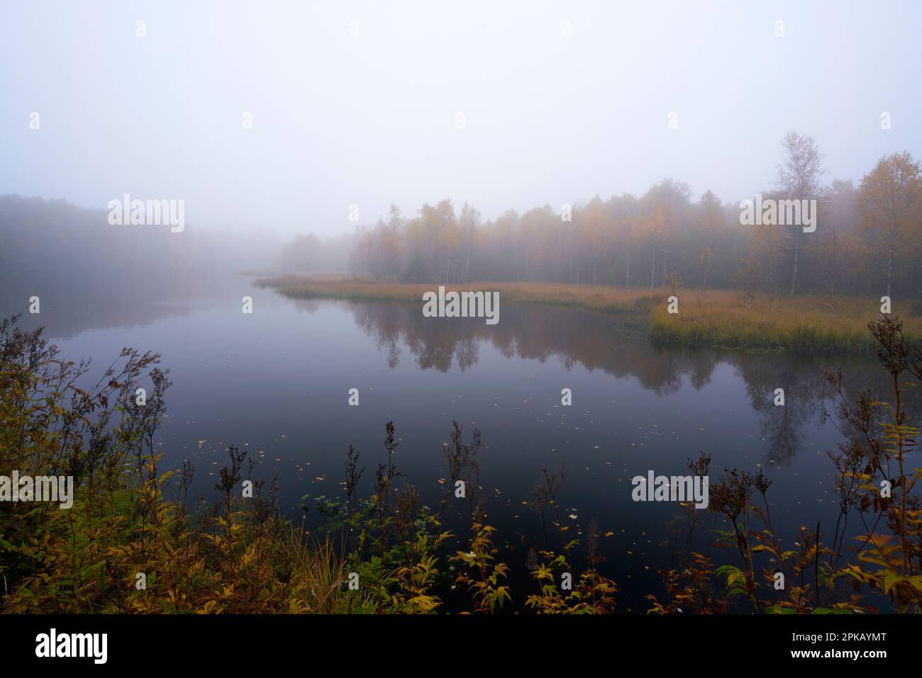 Fog in the Red Moor nature reserve in autumn, Rhön Biosphere Reserve, Fulda County, Hesse, Germany Stock Photo