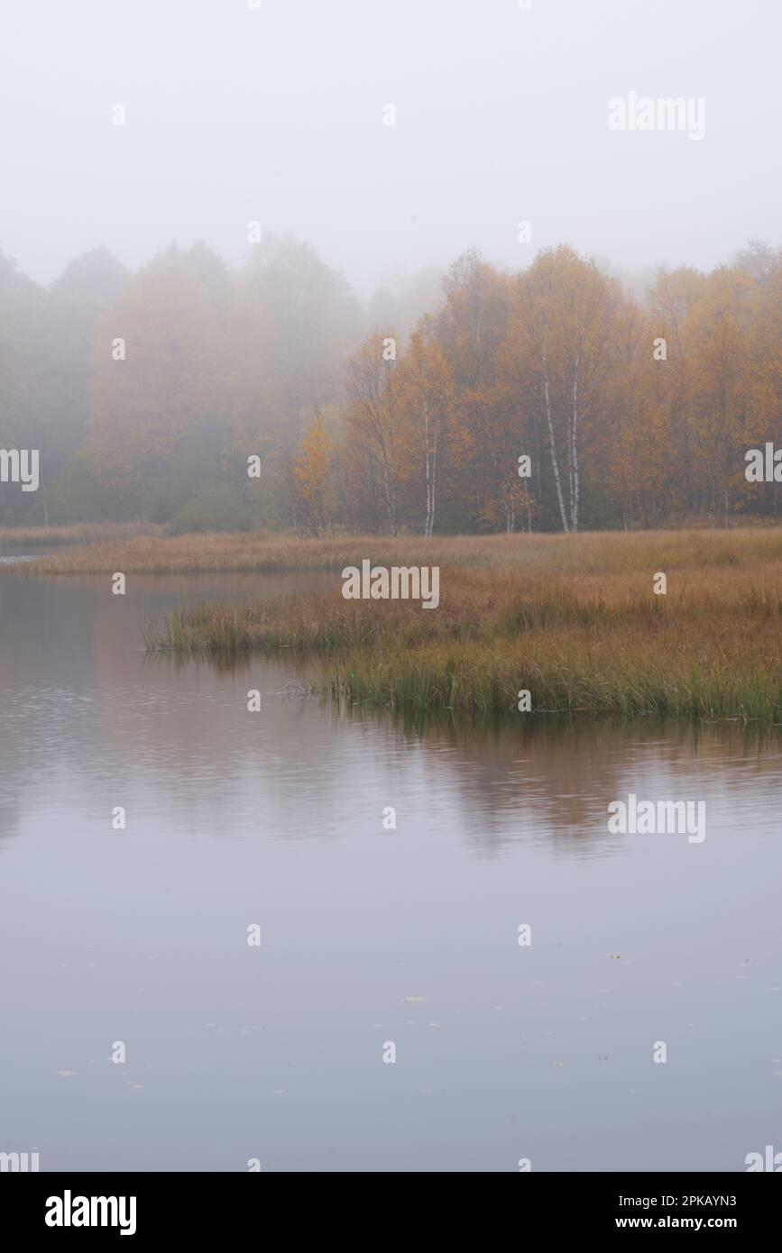 Fog in the Red Moor nature reserve in autumn, Rhön Biosphere Reserve, Fulda County, Hesse, Germany Stock Photo