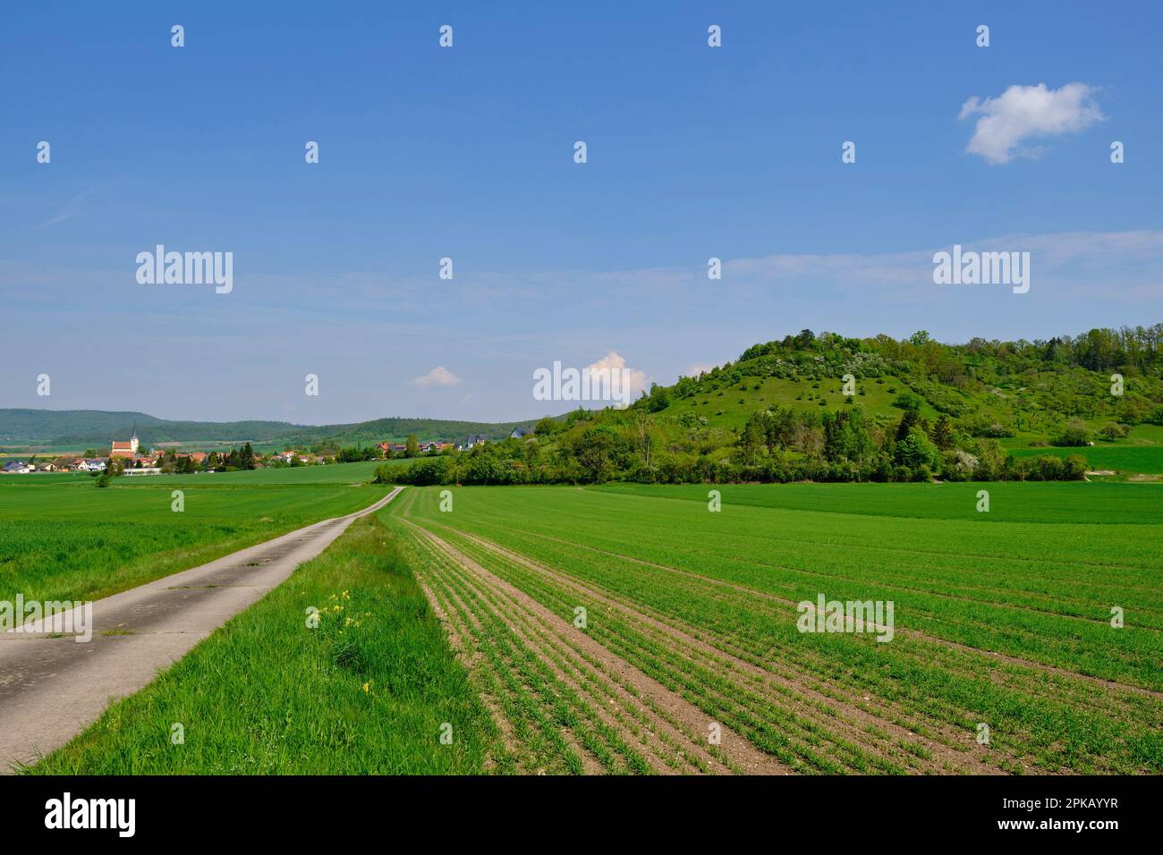 Low mountain range landscape of the Haßberge near Goßmannsdorf, district of the city Hofheim in Lower Franconia, district Haßfurt, nature park Haßberge, Lower Franconia, Franconia, Bavaria, Germany Stock Photo