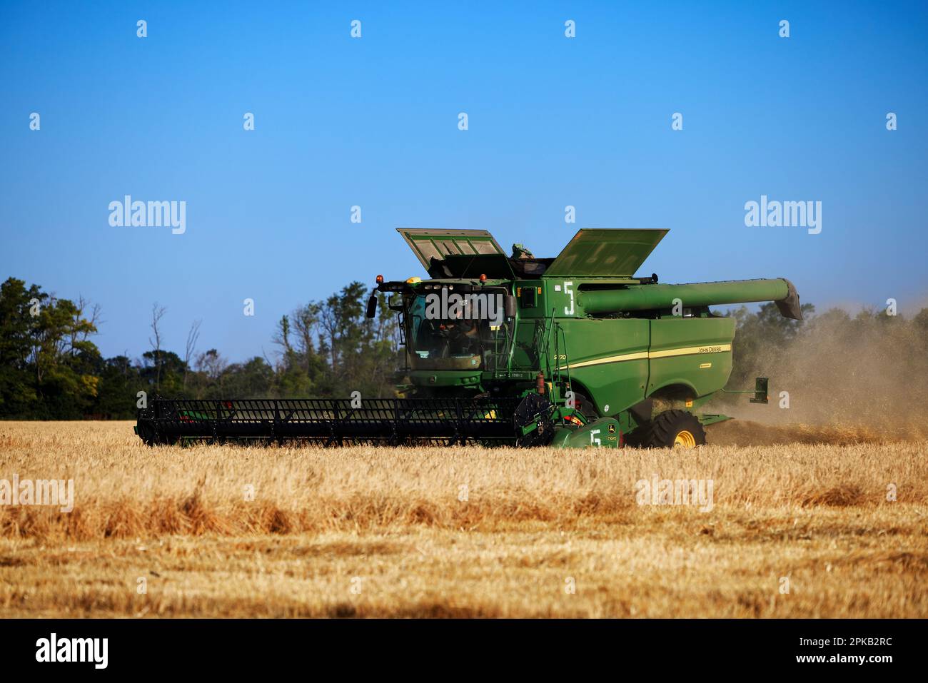 John Deere harvester works in the field. Combine Harvesting Wheat ...