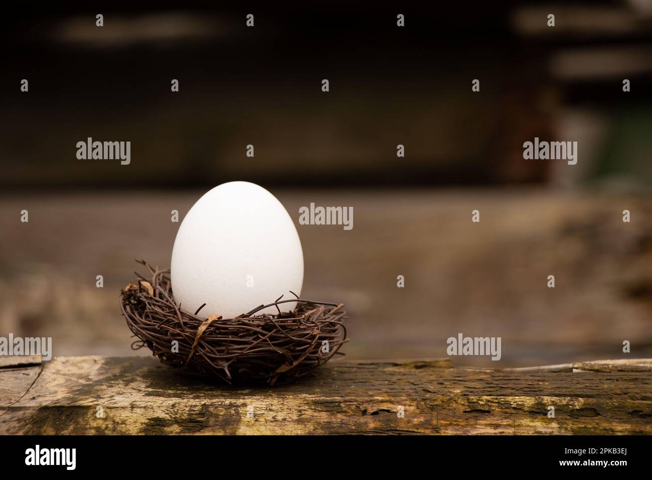 One white chicken egg in a straw nest on a board ,egg Stock Photo - Alamy