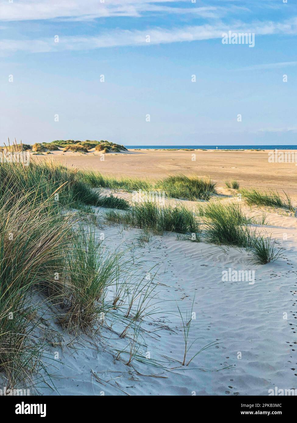 Dunes, beach, Fanö, island, landscape, summer, tidal flats, Rindby ...