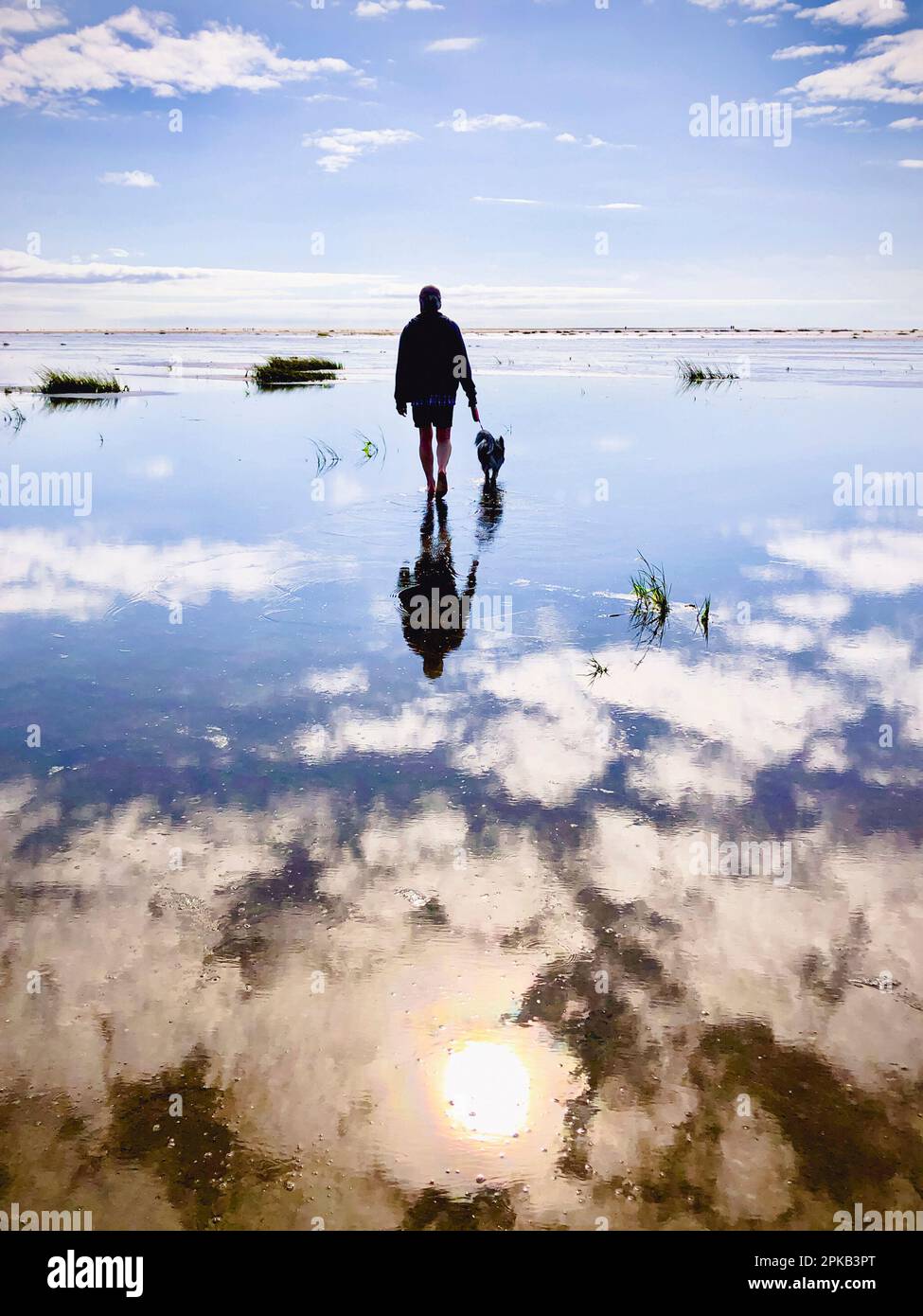 Mudflat walk, man, dog, Fanö, island, landscape, summer, mudflats