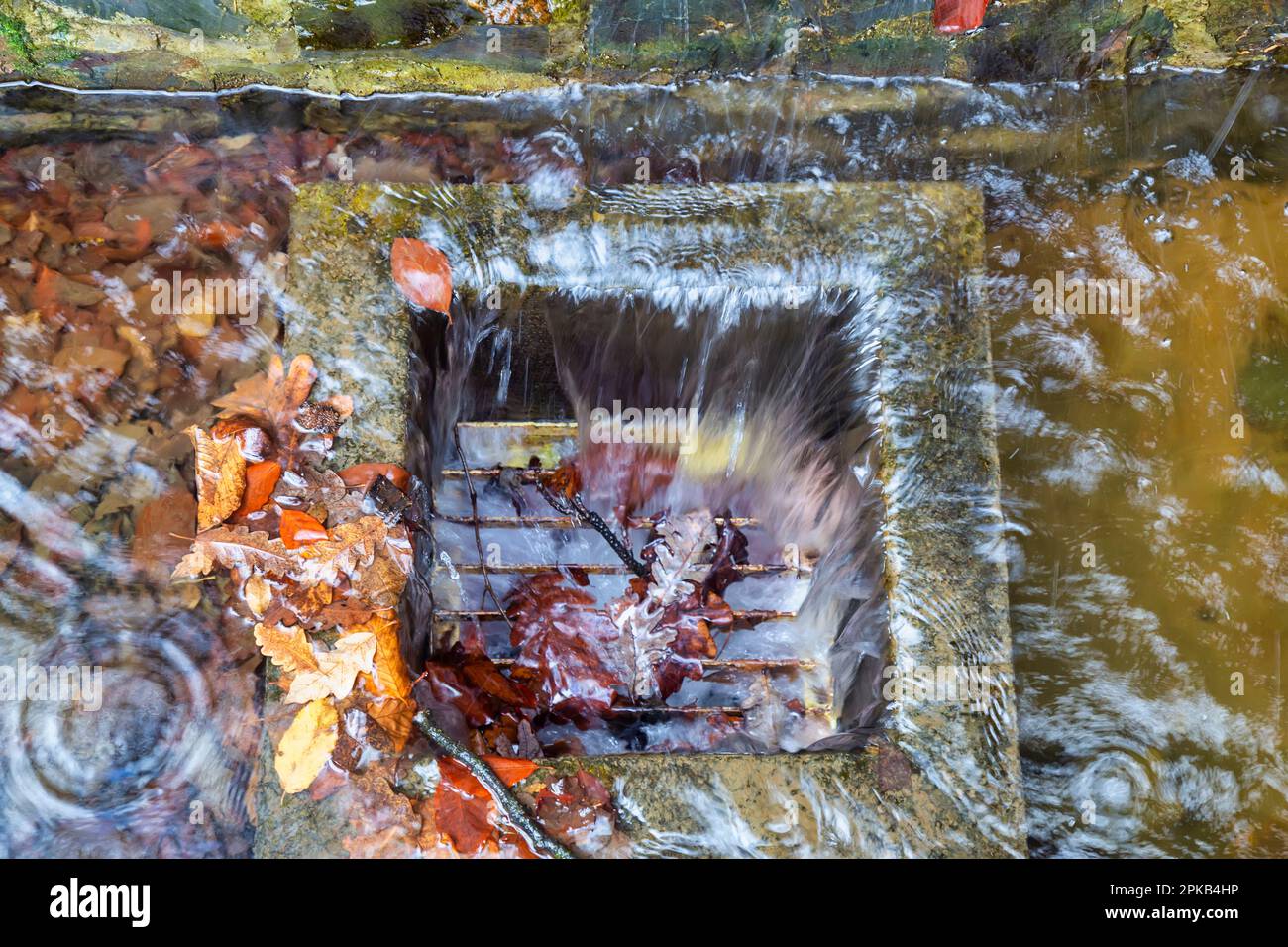 Dried Leafs blocking drains and flooding in autumn. Stock Photo