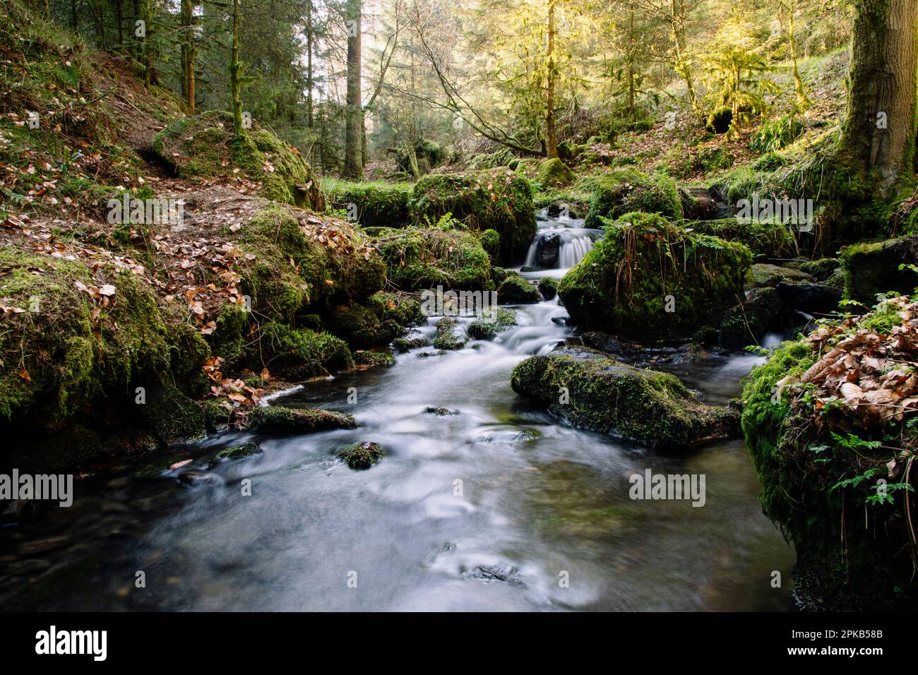 Hike in the Silberbach Valley in Horn Bad Meinberg Stock Photo Alamy