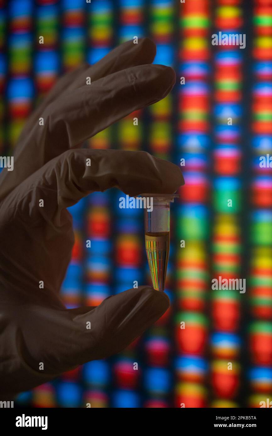 Hand holding a tube of DNA samples in front of a picture of a genome ...