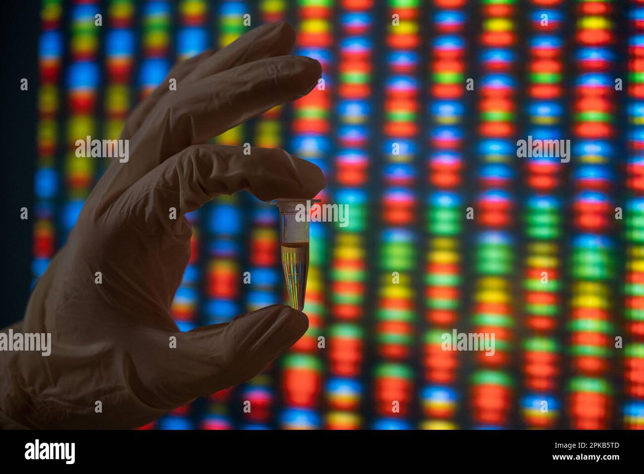Hand holding a tube of DNA samples in front of a picture of a genome ...