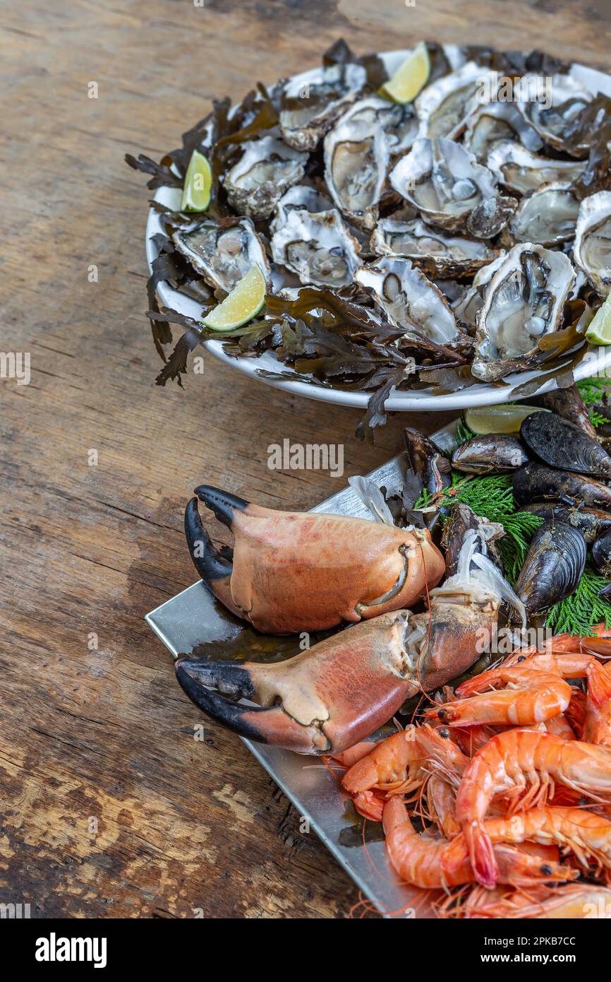 Oysters and shellfish in two trays. Stock Photo