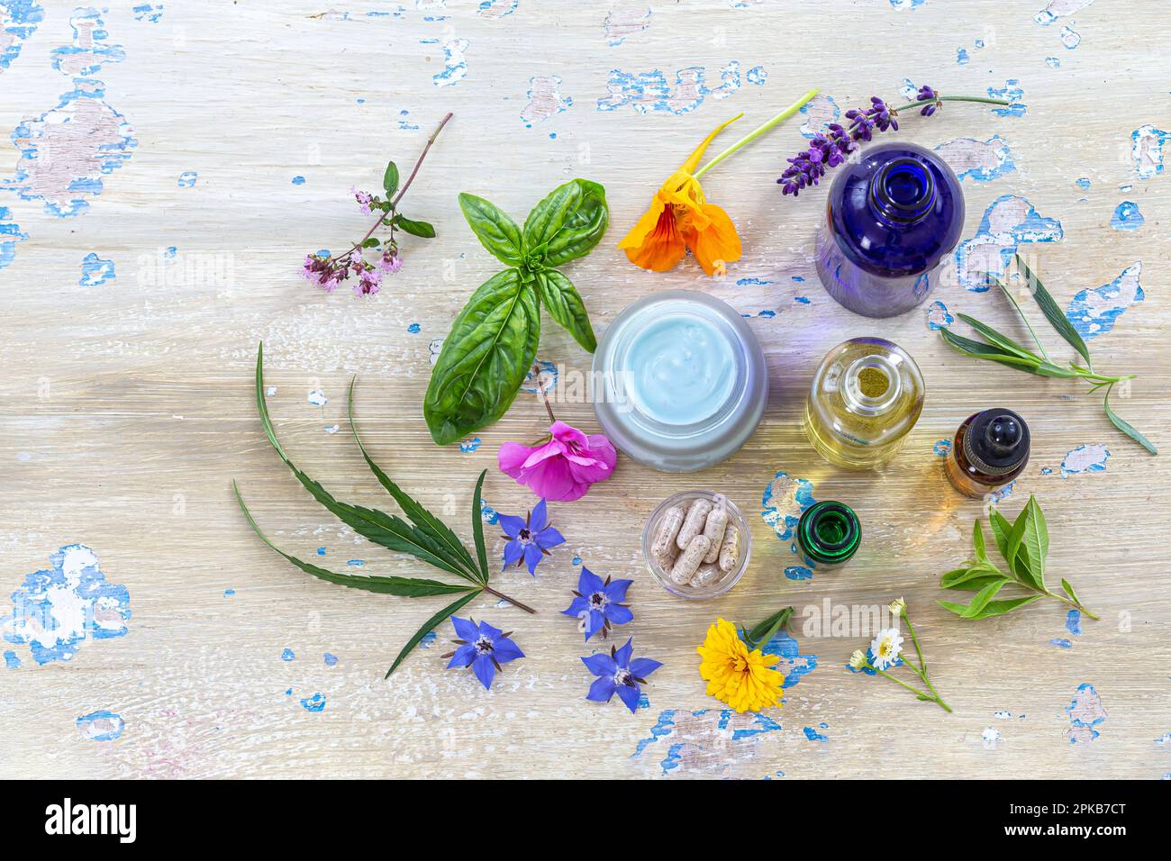 Medicinal plants around cosmetics, food supplements, essential oils