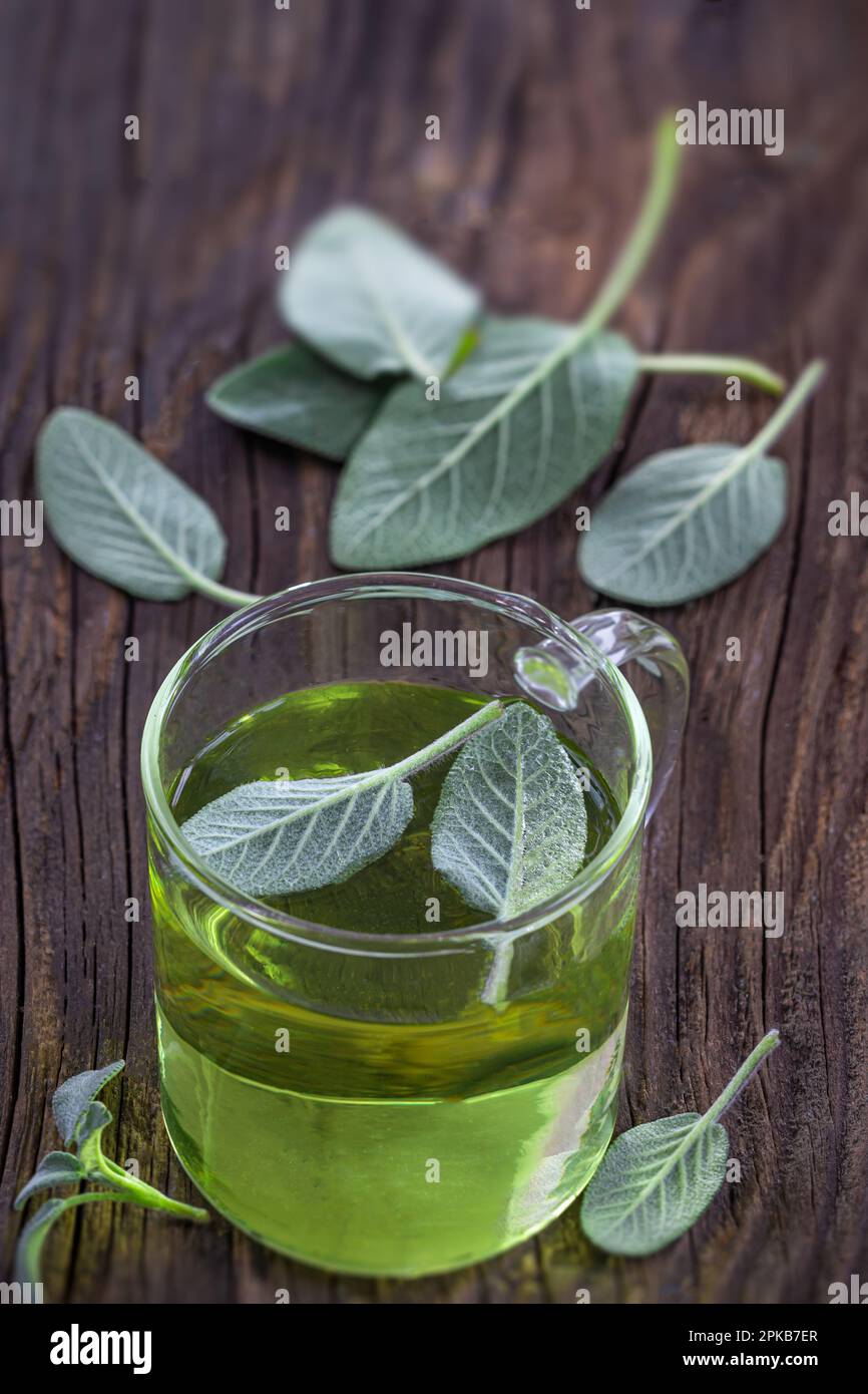 Officinal sage (salva officinal) herbal tea in a glass cup on the background of old board. Stock Photo