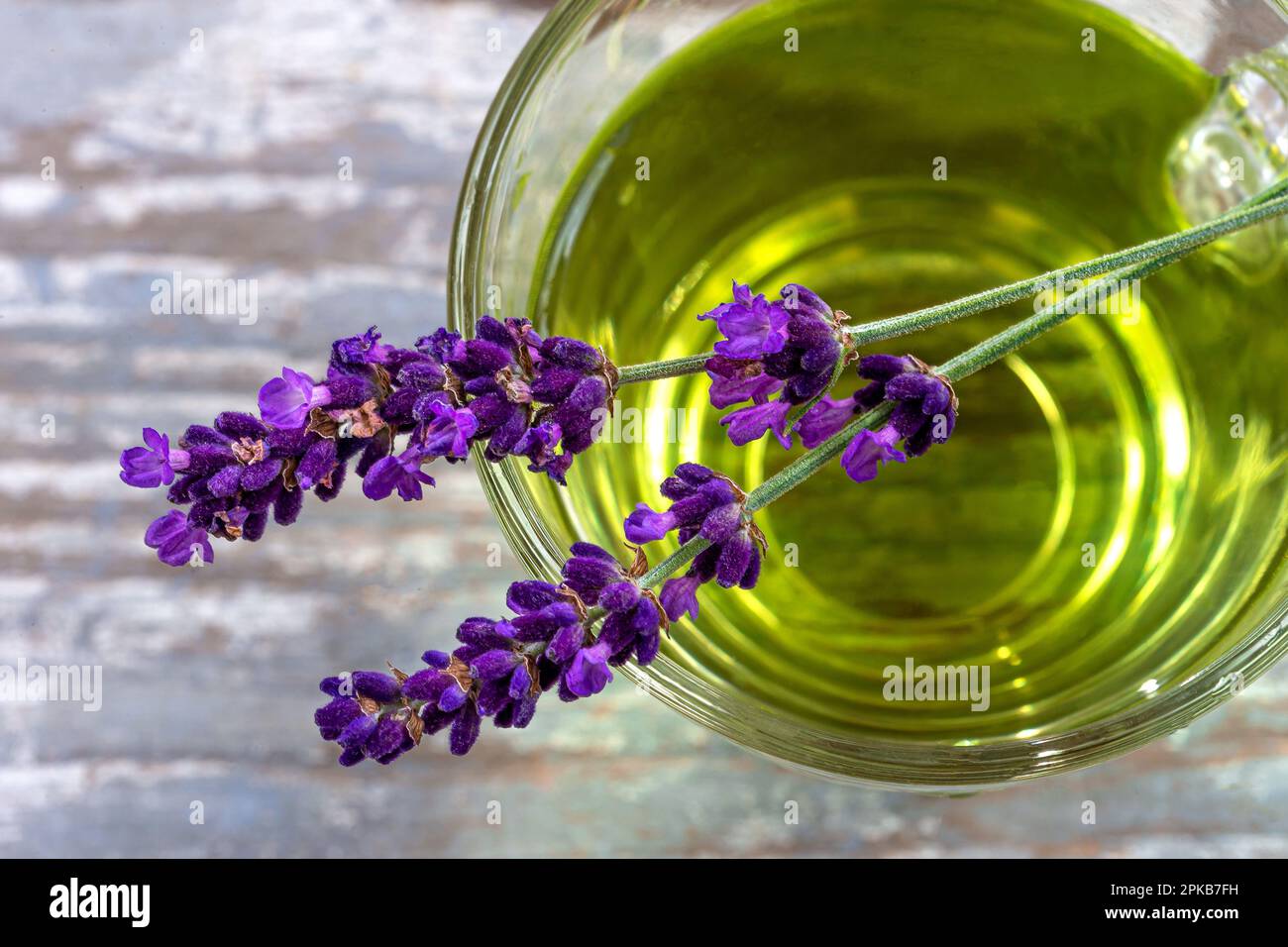 Close up of sprigs of lavender (lavandala angustifolia) resting on the cup viewed from above. Stock Photo
