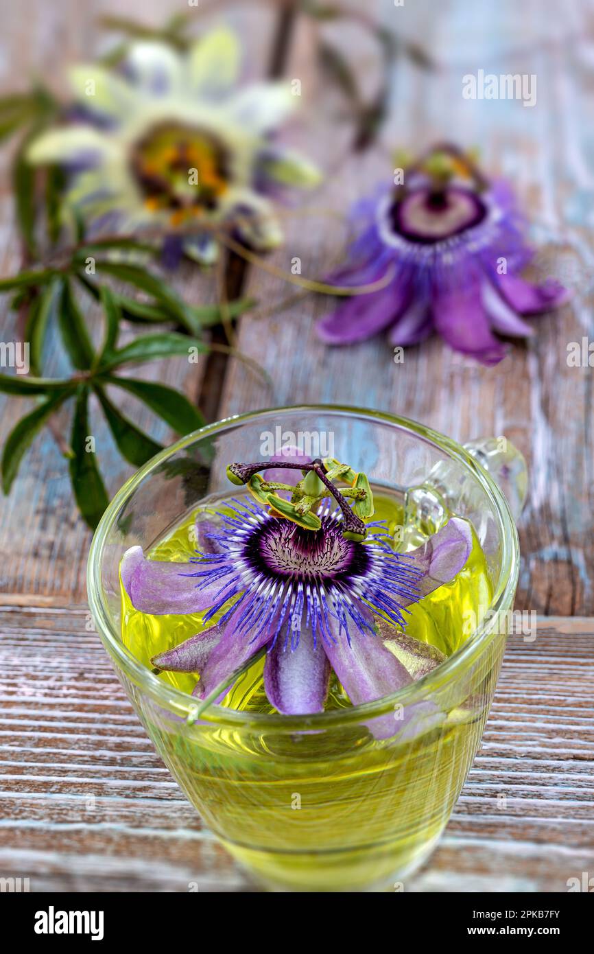 Blue passionflower (passiflora caerulea) herbal tea in a glass cup on old board. Stock Photo