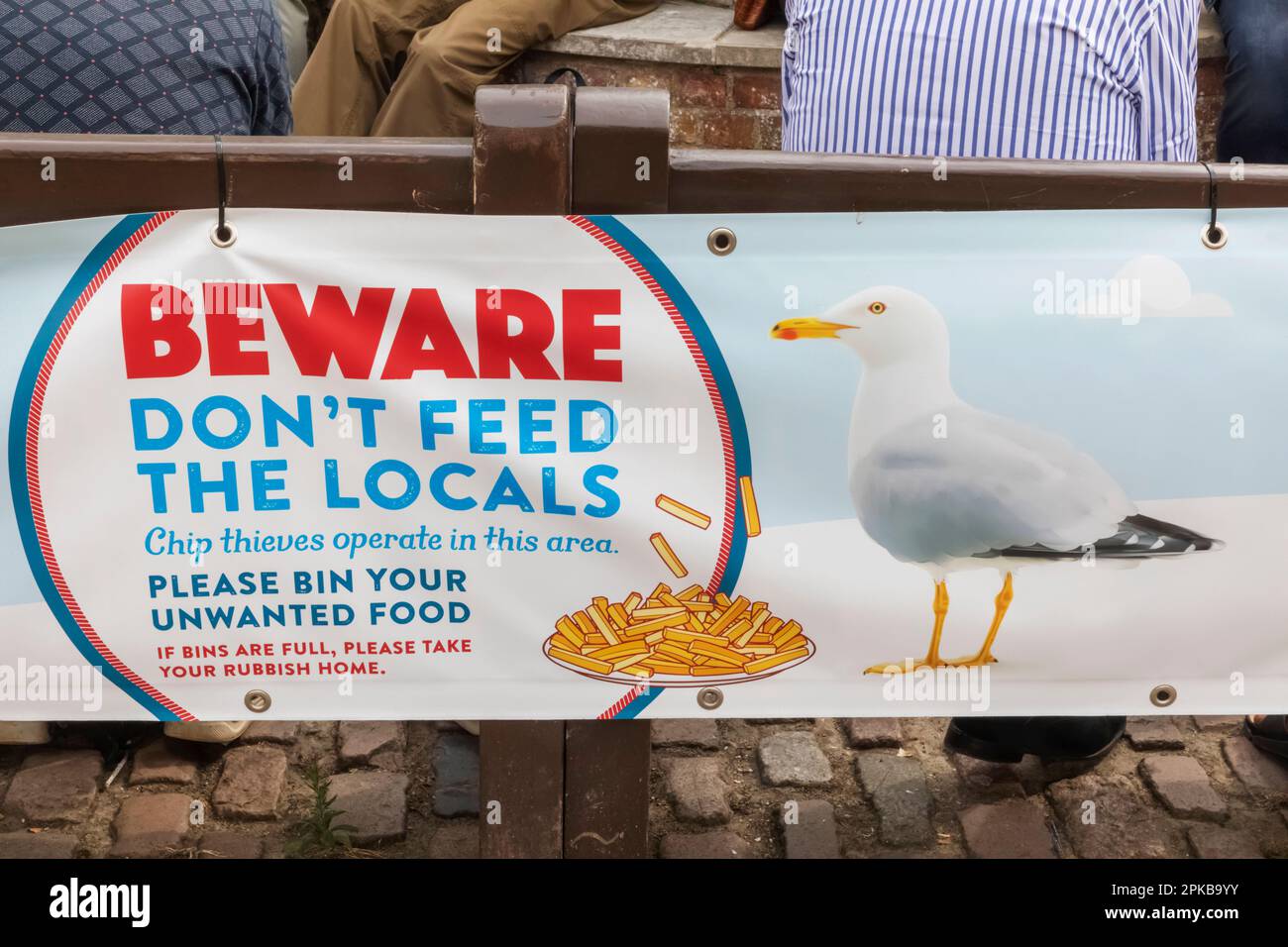 England, Dorset, Bridport, Seagull Awareness Sign Stock Photo