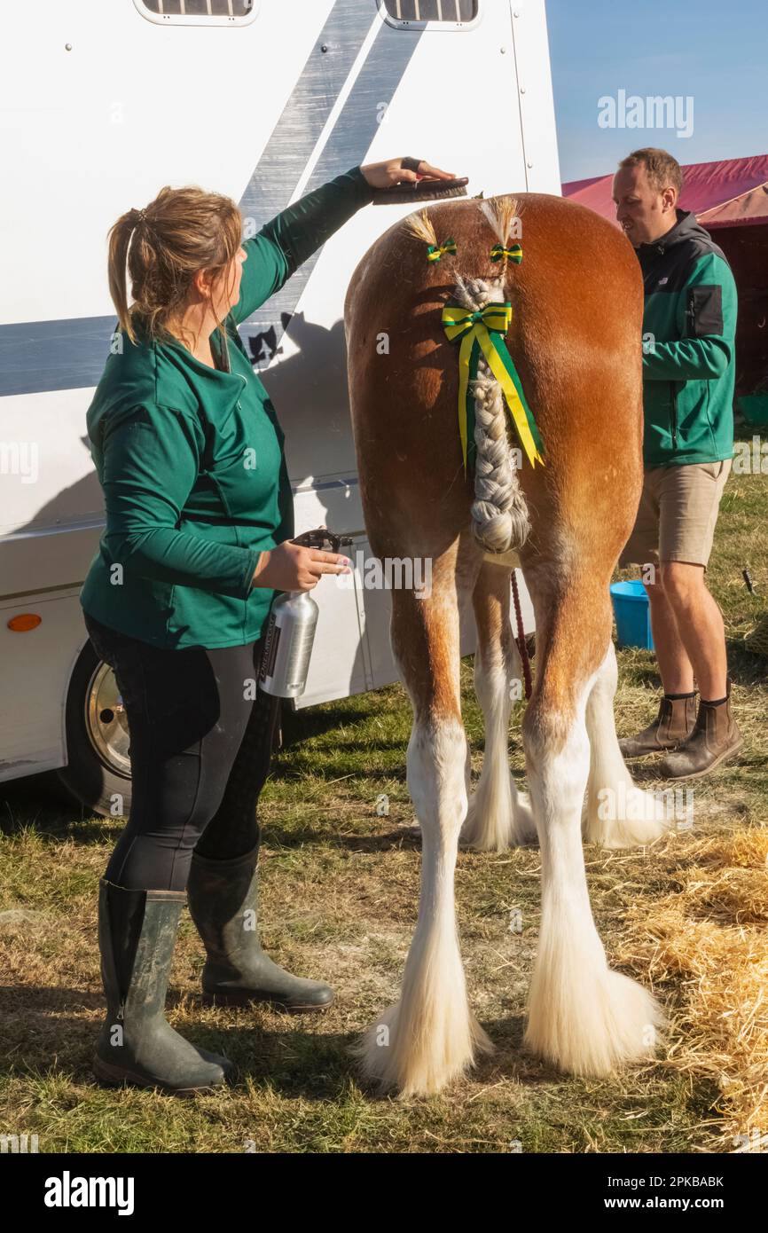 England, Dorset, Shaftesbury, The Annual Wessex Heavy Horse Show and