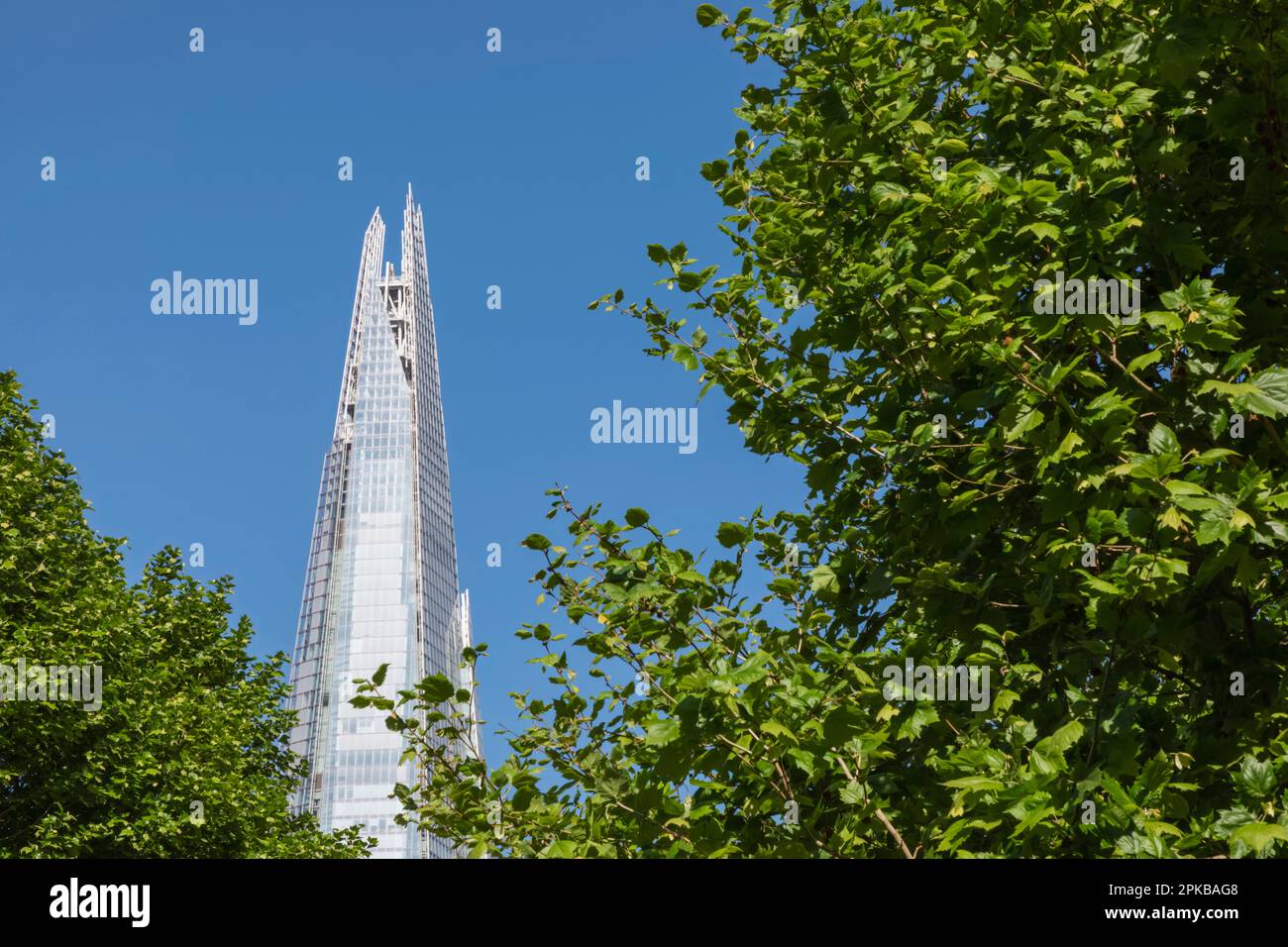 England, London, Green Trees and The Shard Stock Photo