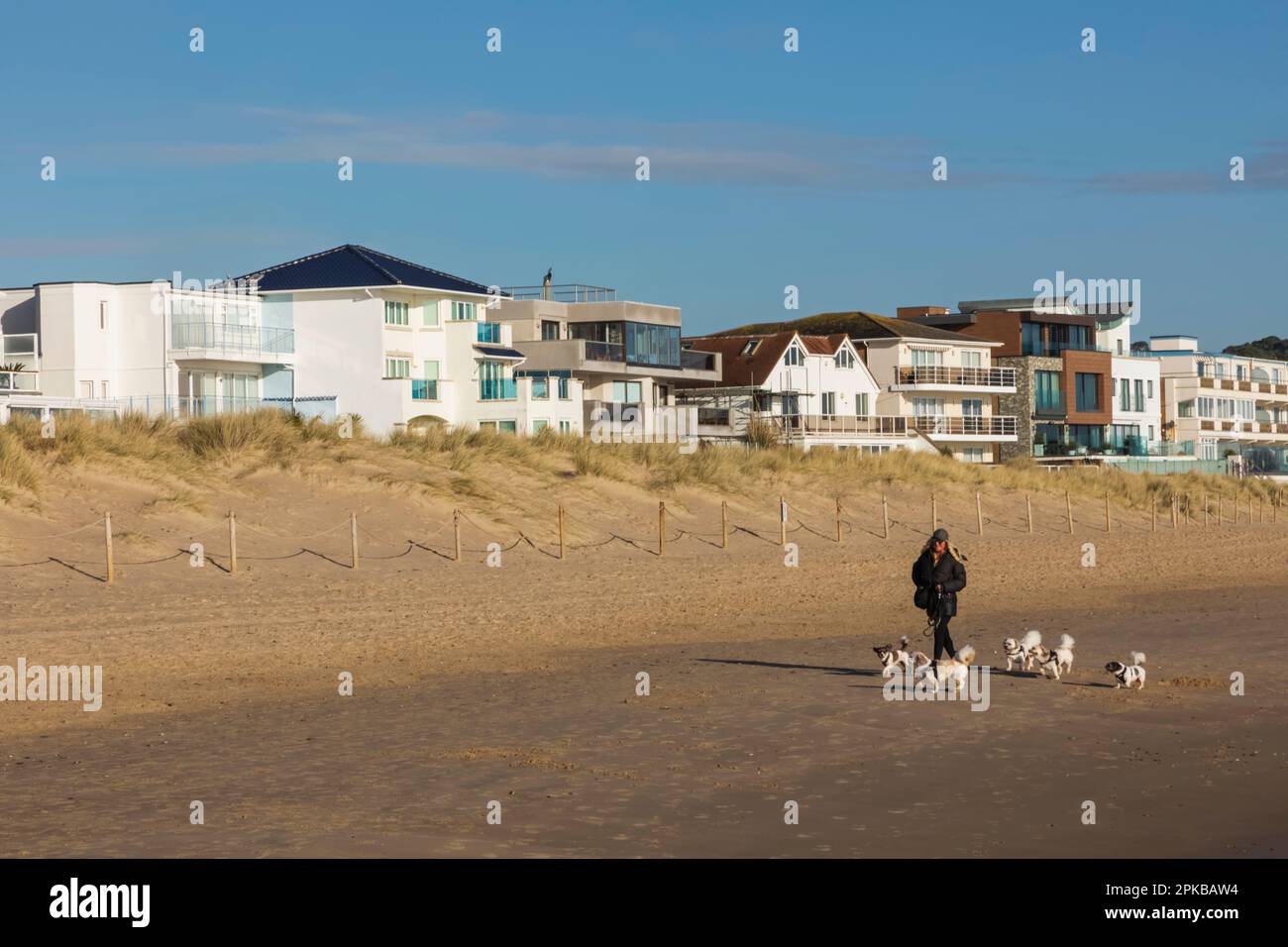 England, Dorset, Poole, Sandbanks Beach, Woman Walking Dogs in Front of Luxury Waterfront Properties Stock Photo