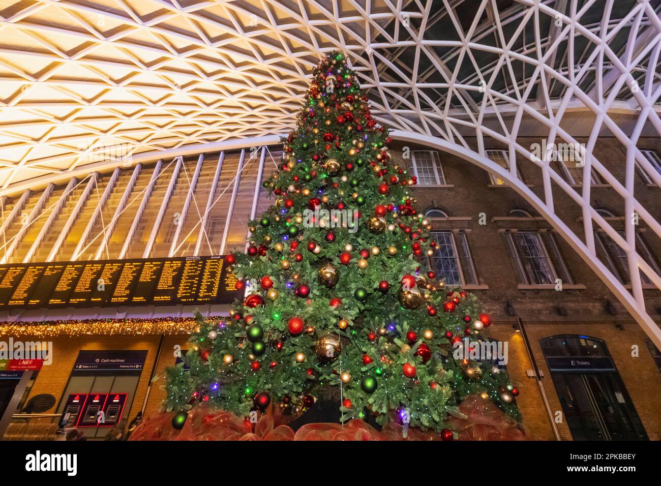 Tree of kings hires stock photography and images Alamy