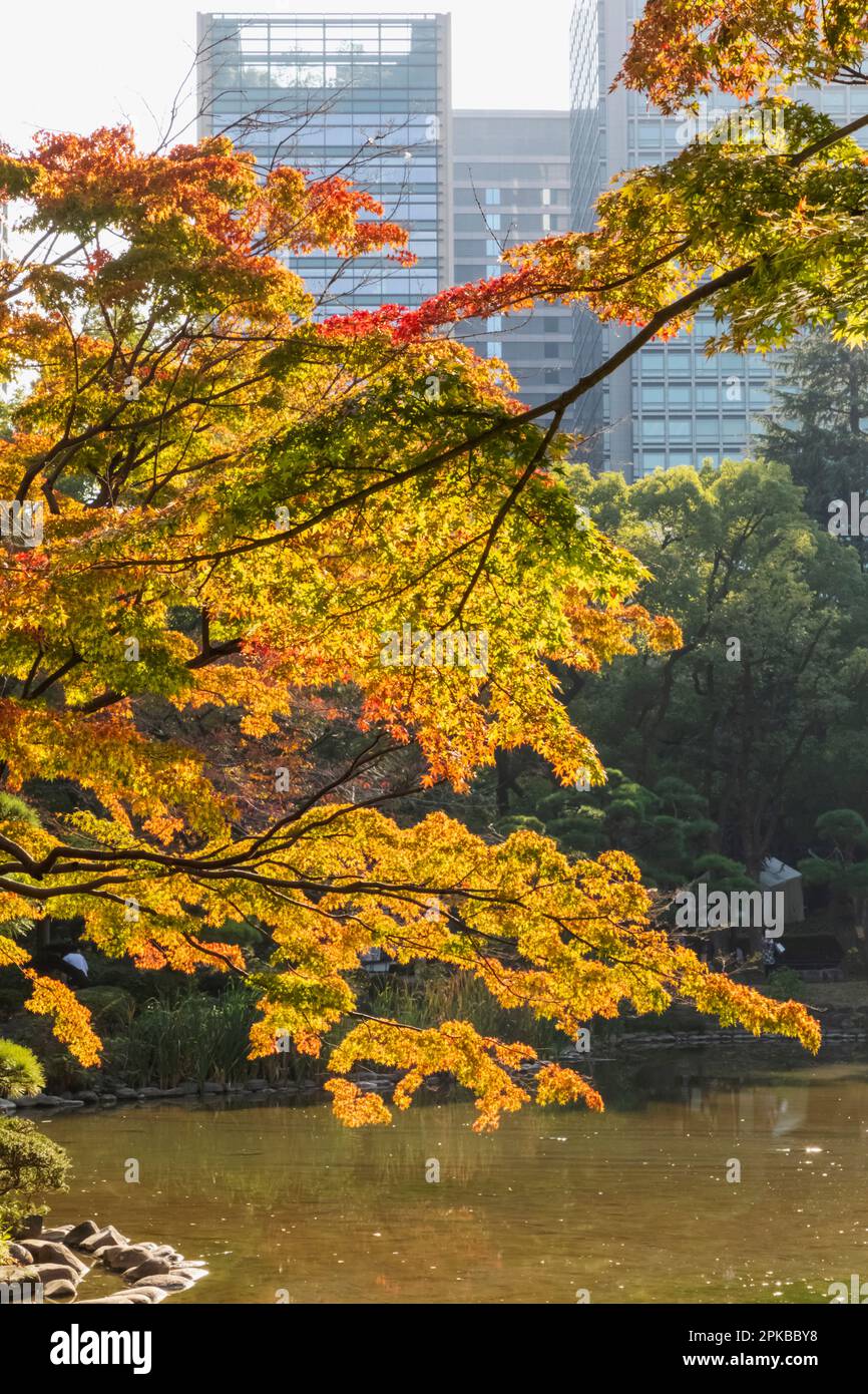Japan, Honshu, Tokyo, Hibiya, Hibiya Park, The Crane Fountain and Autumn Leaves Stock Photo
