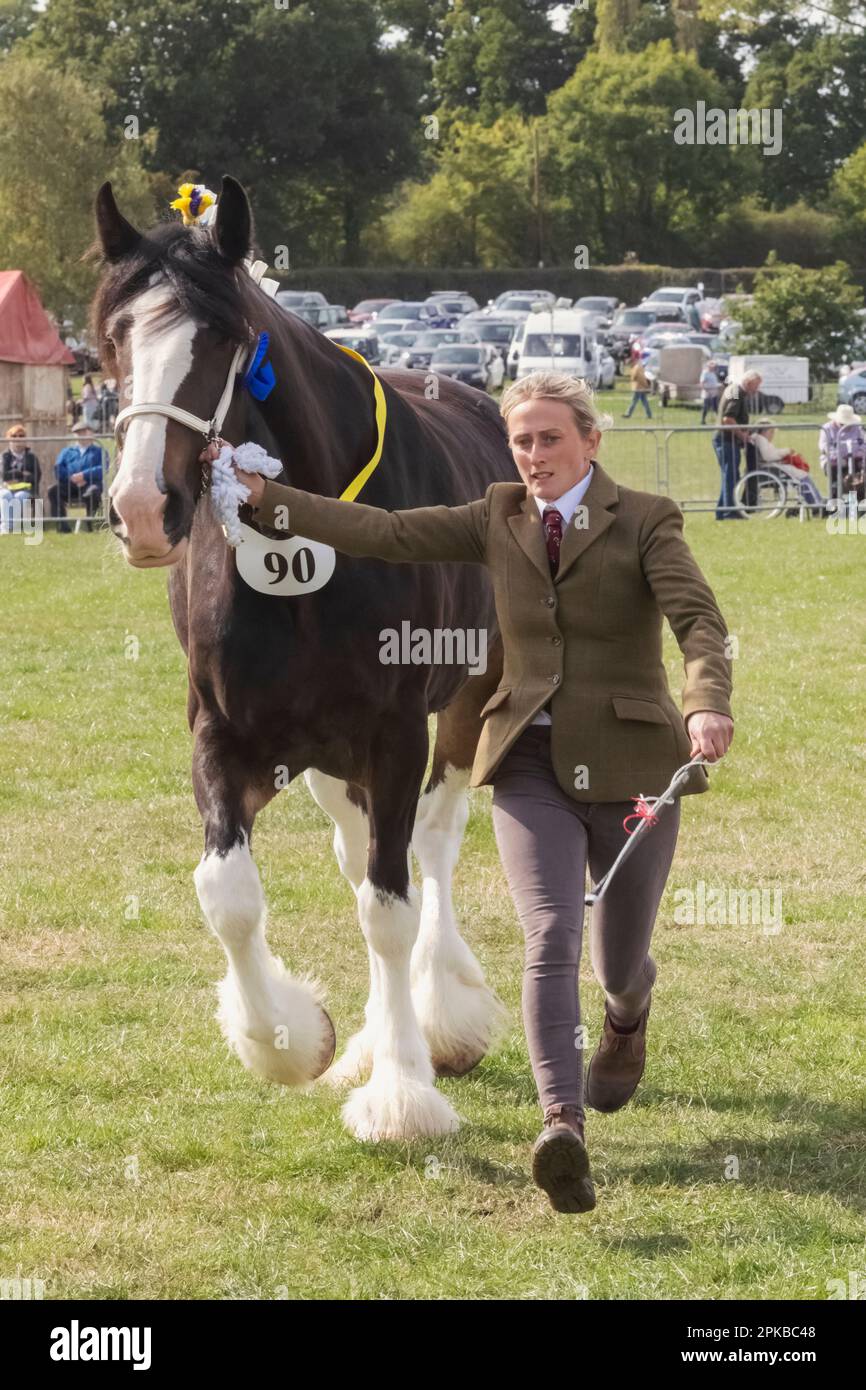 England, Dorset, Shaftesbury, The Annual Wessex Heavy Horse Show and