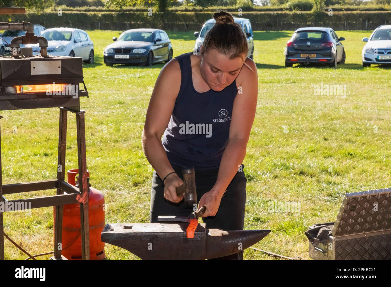 England, Dorset, Shaftesbury, The Annual Wessex Heavy Horse Show and