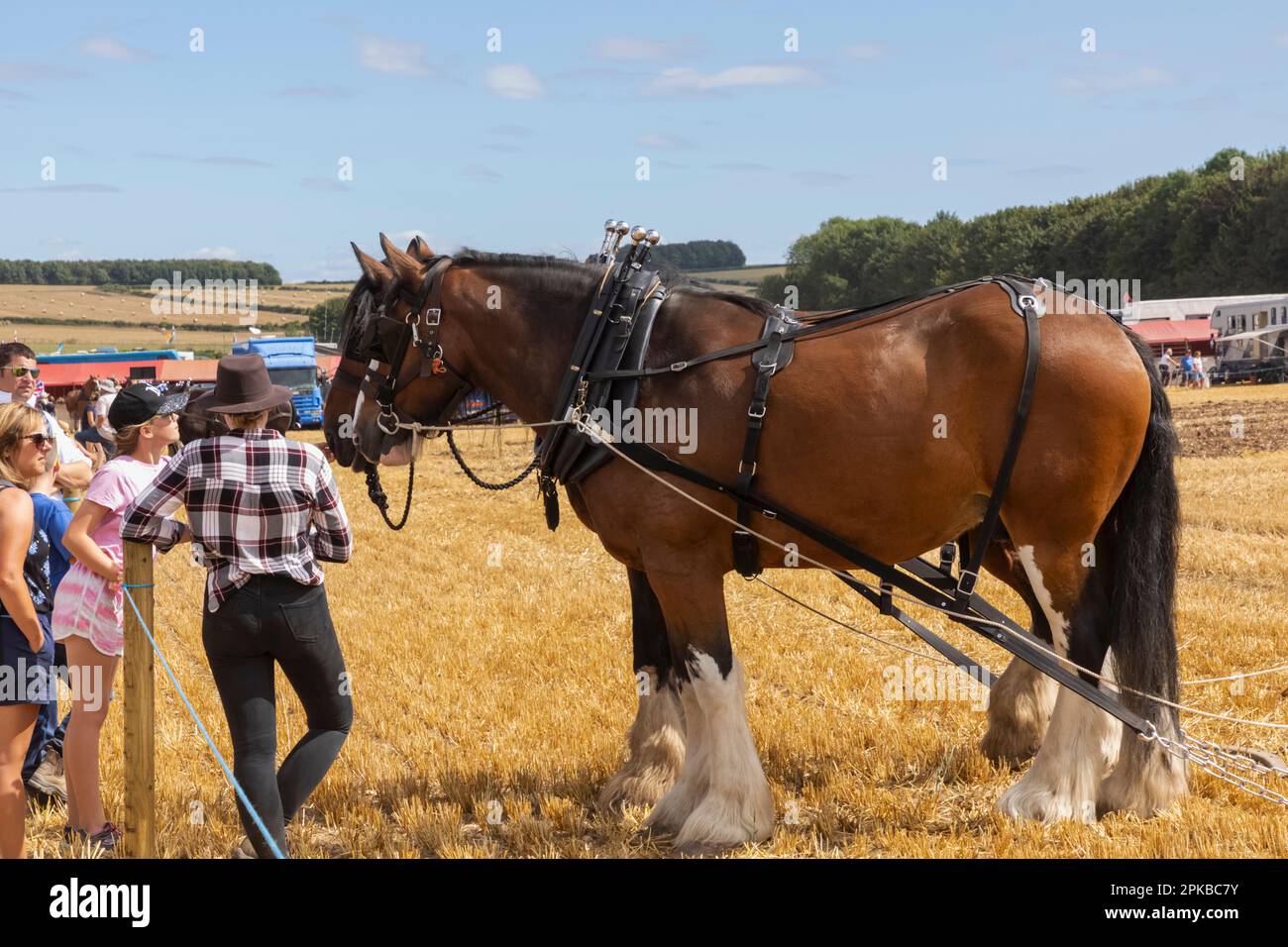 England, Dorset, The Annual Great Dorset Steam Fair at Tarrant Hinton near Blandford Forum, Show Visitors and Draft Horses Stock Photo