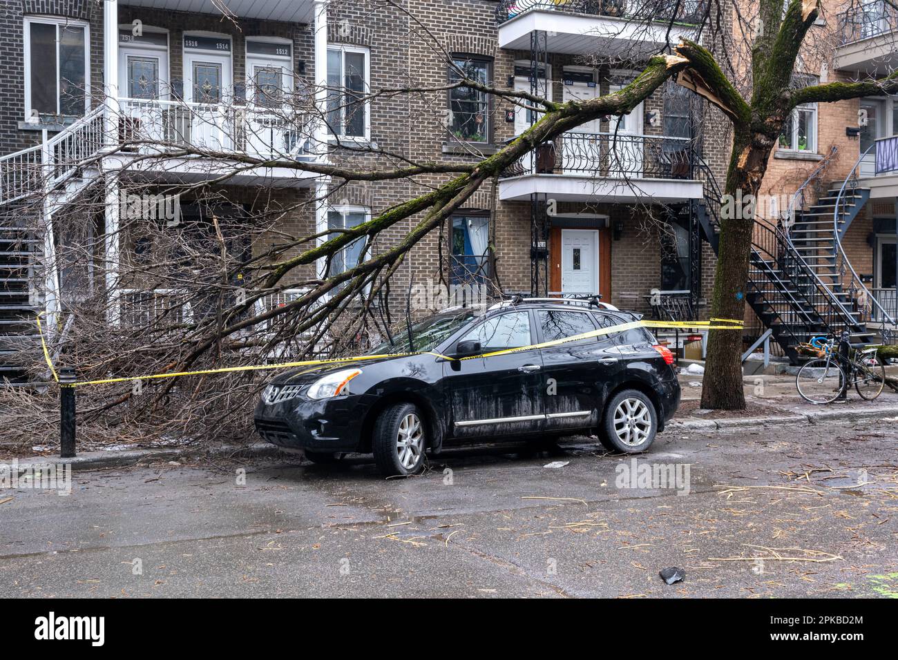 Montreal, CANADA - 6 April 2023: The freezing rain storm has damaged a tree Stock Photo