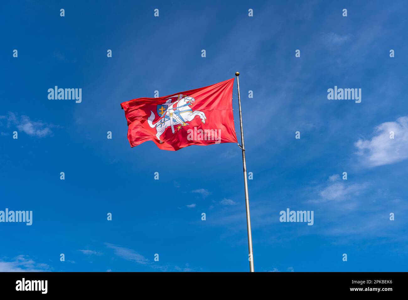 The State flag of Lithuania with a knight rider on a white horse on a crane background Stock Photo