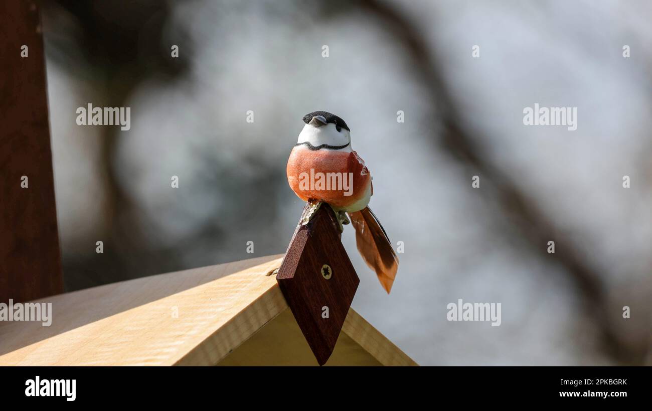 UK Wooden bird feeding station mounted on wooden post. Covered wooden bird table in spring. Stock Photo