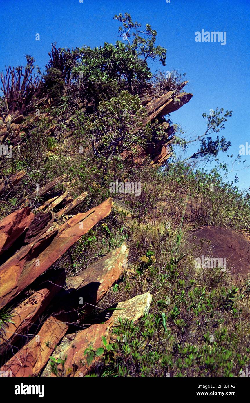 Brazil, Minas Gerais State, Brazilian Shield, Serra do Espinhaço: pre-cambrian (proterozoic) quartzites, with saxicolous vegetation (campos rupestres) Stock Photo