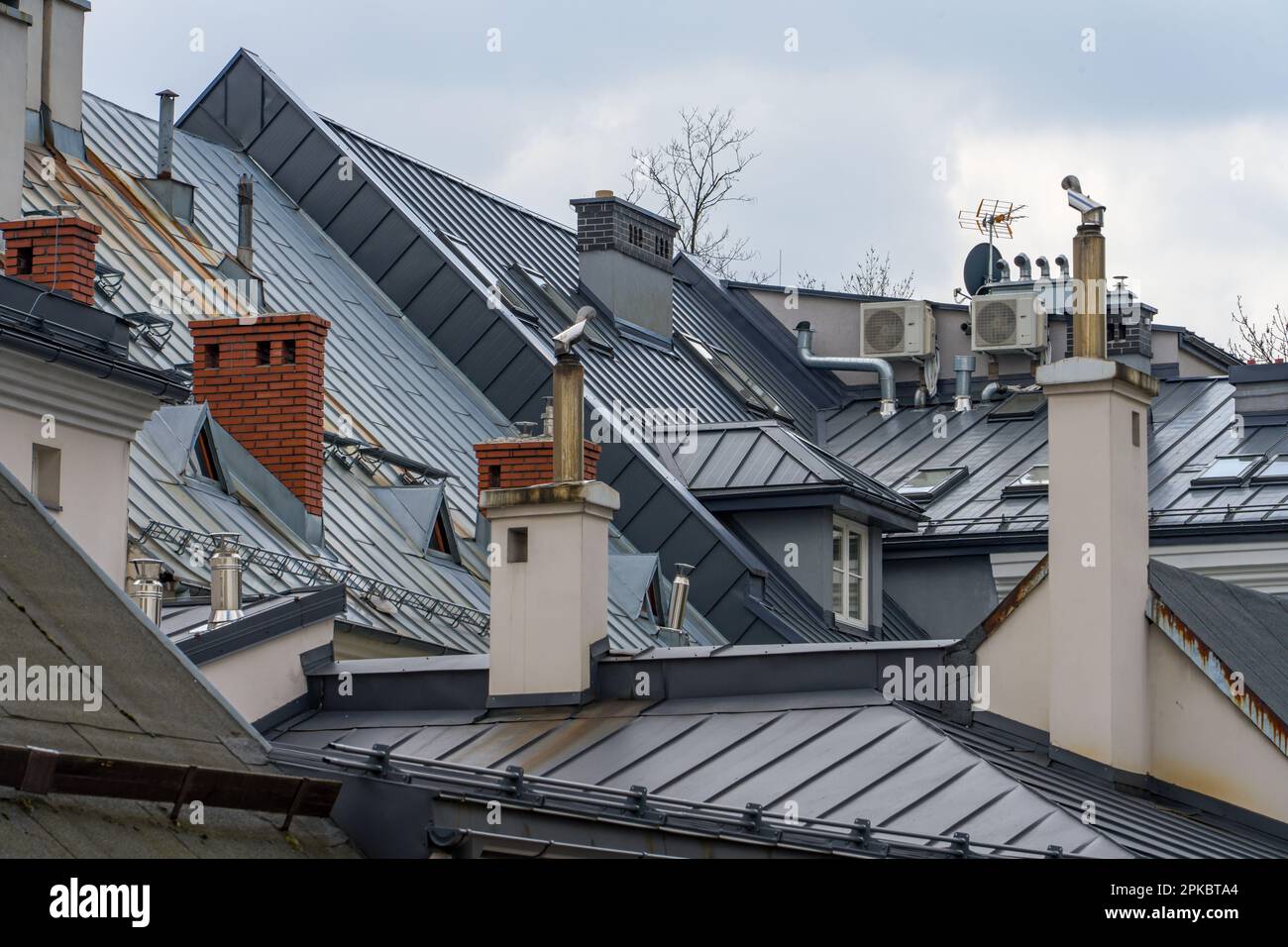 Roofs of tenement houses covered with sheet metal, gray metal roof, chimneys Stock Photo