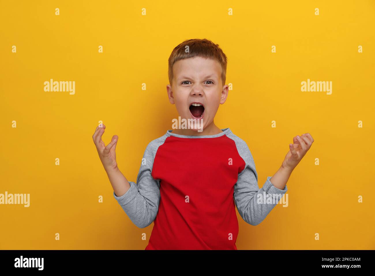 Angry little boy screaming on yellow background. Aggressive behavior