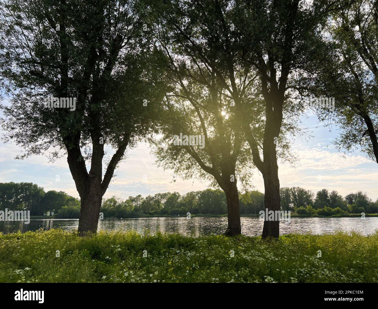 Beautiful view on green bank with trees near lake. Picturesque landscape Stock Photo