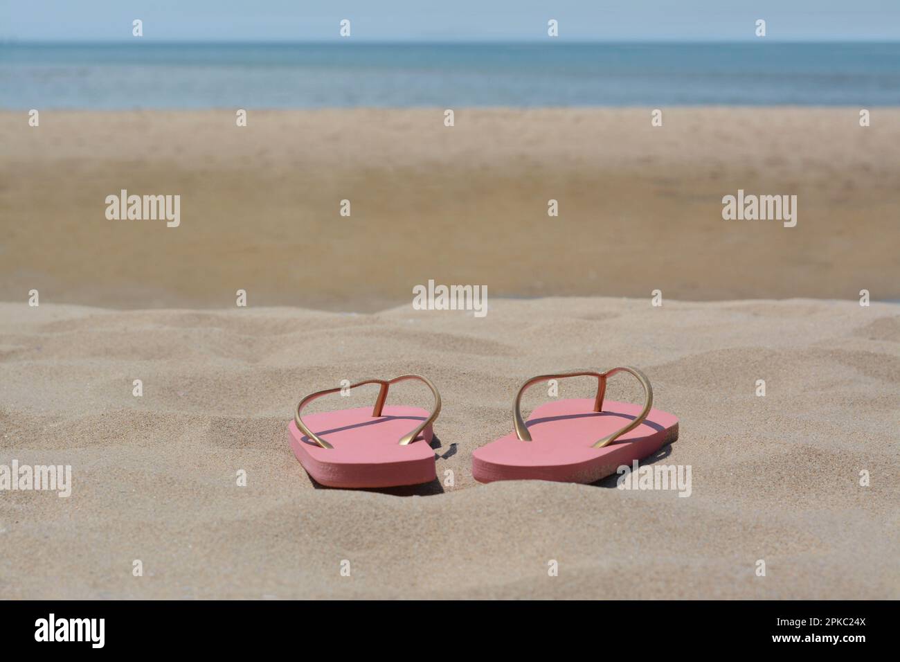 Stylish pink flip flops on sandy beach near sea, space for text Stock ...