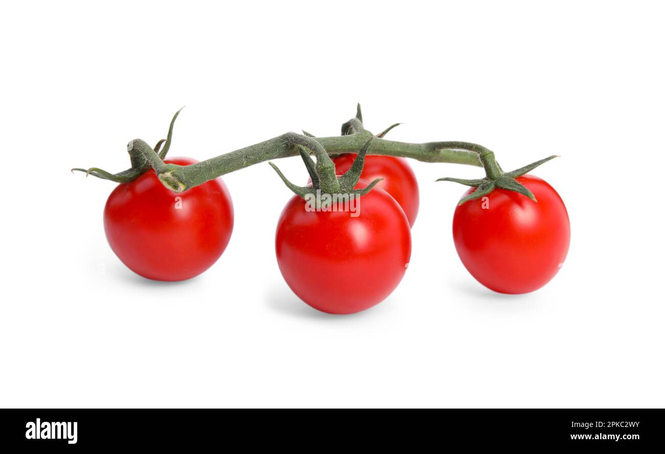 Branch of red ripe cherry tomatoes isolated on white Stock Photo - Alamy