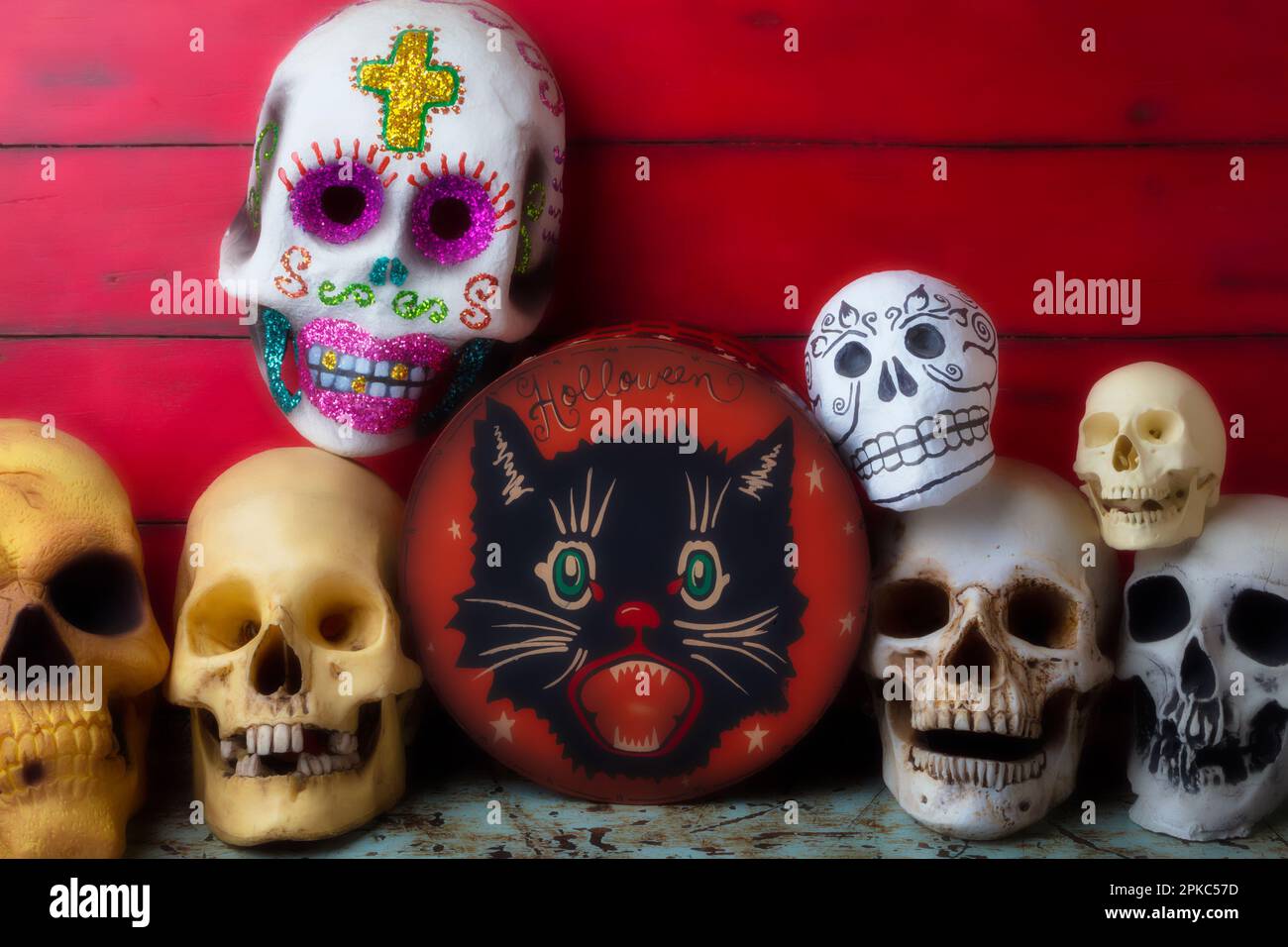 Halloween Cat Box And Assorted Skulls Still life Stock Photo