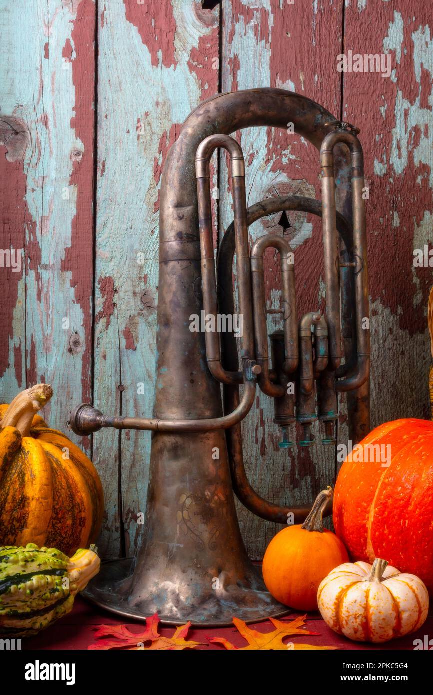 Old Tuba And Pumpkins Still Life Stock Photo