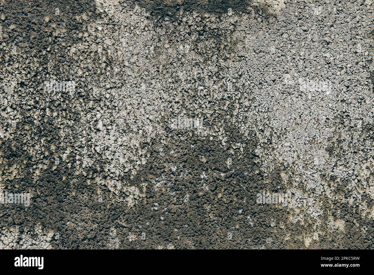 A gray scaled stone floor is used as a background. Stock Photo