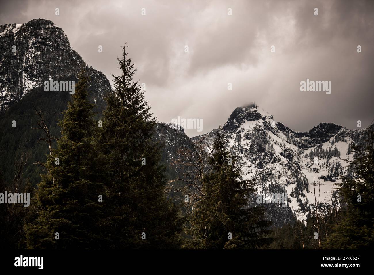 Golden Ears provincial park in Maple Ridge, BC, Canada. Stock Photo