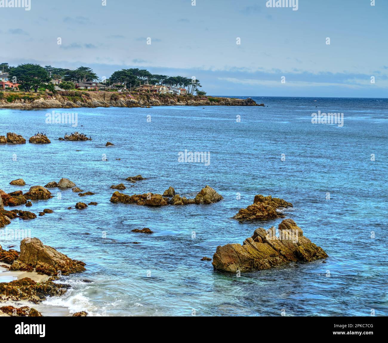 Monterey Bay From Asilomar State Marine Reserve California Stock Photo monterey-bay-from-asilomar-state-marine-reserve-california-stock-photo