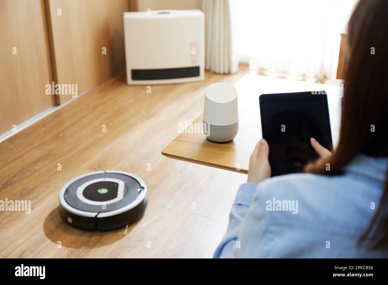 Cleaning robot and AI speaker in the living room Stock Photo