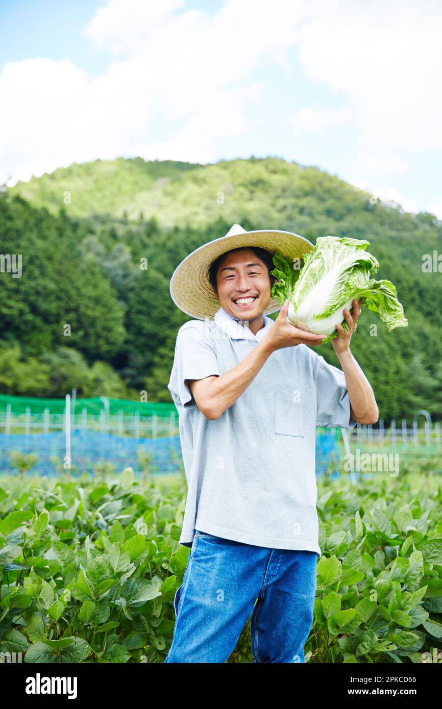 Man holding Chinese cabbage in a field Stock Photo