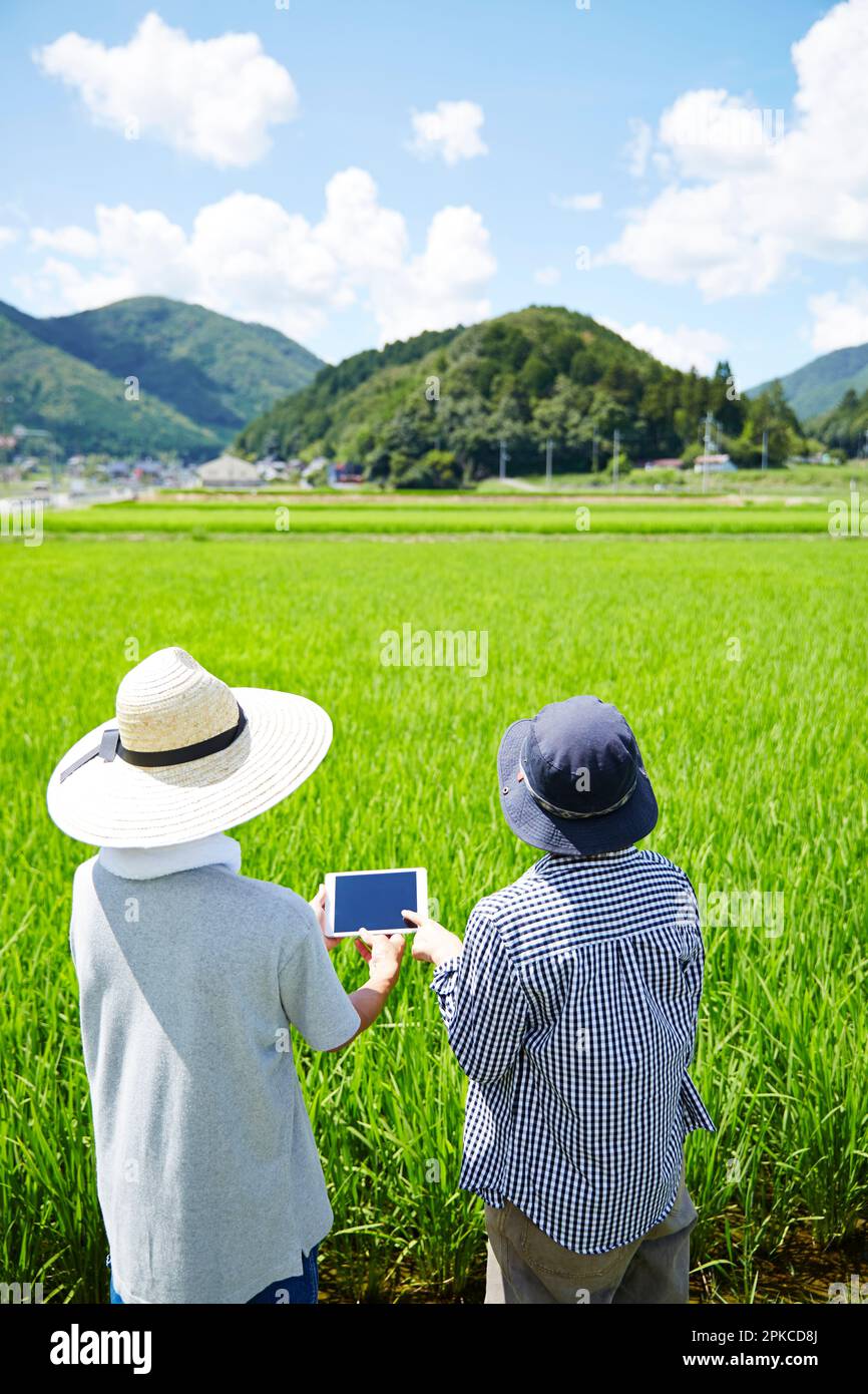 Back view of a man and a woman looking at a tablet in front of a paddy field Stock Photo